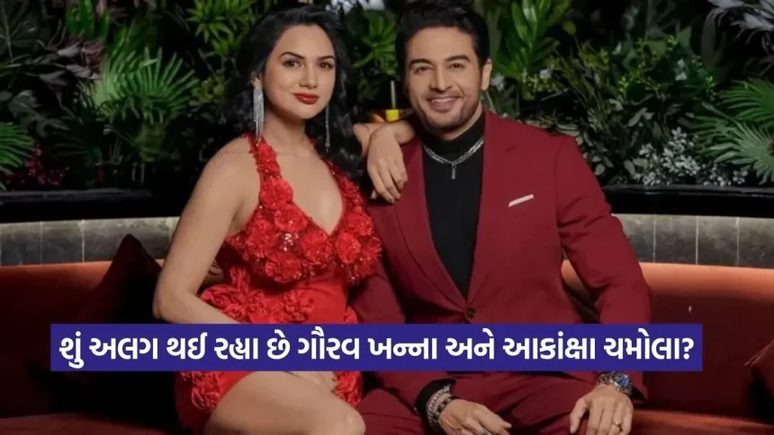 શું ‘અનુપમા’ ફેમ ગૌરવ ખન્નાના લગ્નજીવનમાં ભંગાણ પડ્યું? પત્ની આકાંક્ષાની પોસ્ટે ચાહકોની ચિંતા વધારી 1 dharmishtha 1 2026 01 29T151708.160.jpg.webp