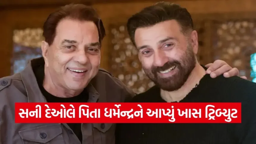 બોર્ડર 2 માં માત્ર એક્શન જ નહીં, ઈમોશન્સ પણ ભરપૂર! સની દેઓલે પપ્પા ધર્મેન્દ્રને આપ્યું ખાસ માન 1 dharmishtha 1 66.jpg.webp