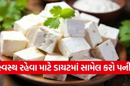 paneer8.jpg.webp