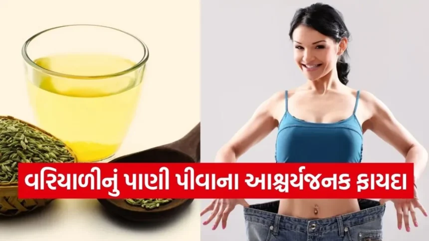 શું તમે પણ વજન ઉતારવા વરિયાળીનું પાણી પીઓ છો? જાણો સેવન કરવાની સાચી રીત અને સમય 1 variyalo.jpg.webp