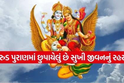 1770248441 Copy of Satya web temp 29.jpg.webp
