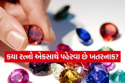 1770306159 Copy of Satya web temp 33.jpg.webp