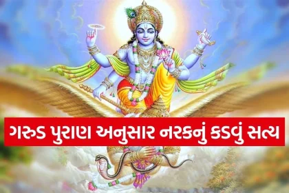 1770392747 Copy of Satya web temp 32.jpg.webp