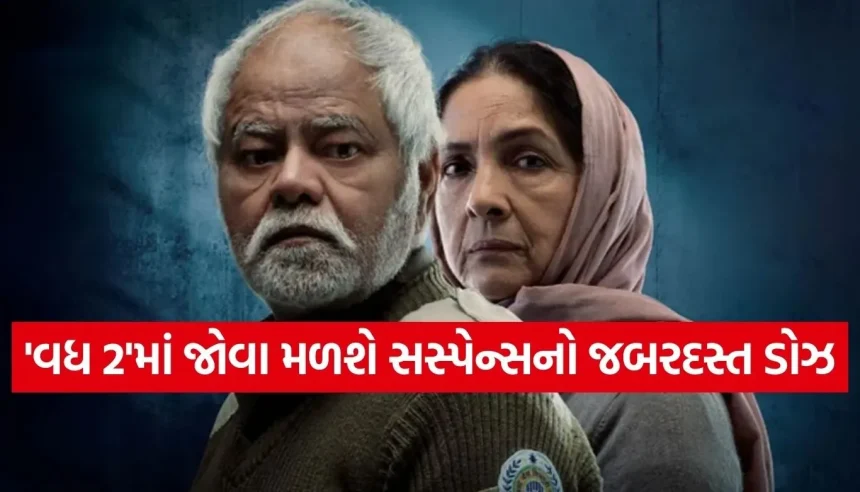 વધ 2: એક્શન વગર પણ હચમચાવી દેશે આ થ્રિલર, જાણો કેવો છે સંજય મિશ્રાનો અંદાજ 1 1770393219 Copy of Satya web temp 24.jpg.webp