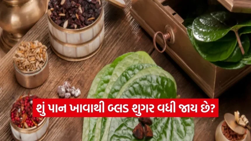 પાન ખાવાના શોખીનો સાવધાન! શું તે ખરેખર શુગર લેવલ વધારે છે? જાણો શું કહે છે હેલ્થ એક્સપર્ટ્સ 1 1770480399 dharmishtha 1 27.jpg.webp