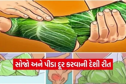 1770480824 dharmishtha 1 25.jpg.webp