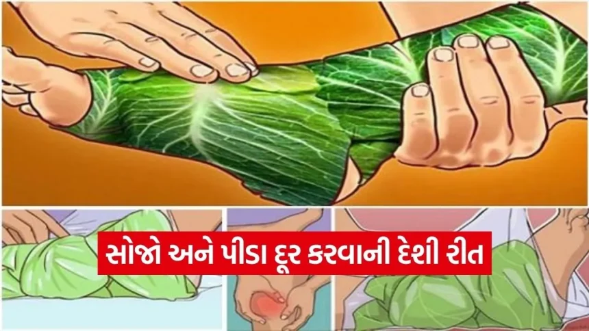 1770480824 dharmishtha 1 25.jpg.webp