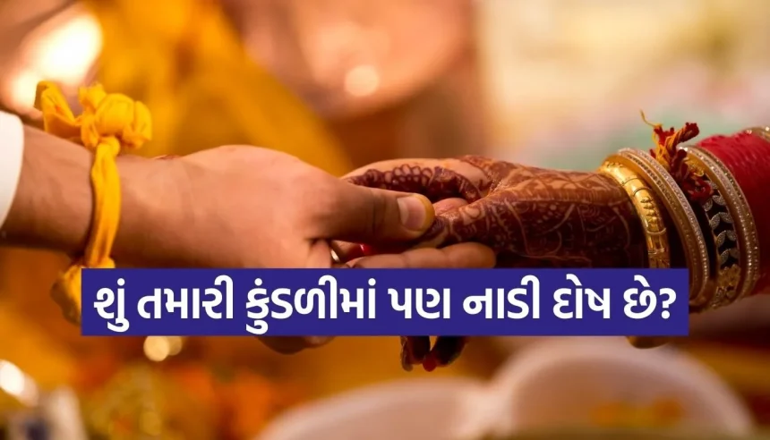 શું કુંડળીમાં નાડી દોષ લગ્ન જીવન બગાડી શકે છે? જાણો લગ્ન જીવન પર તેની અસરો 1 1770508175 Copy of Satya web temp 31.jpg.webp