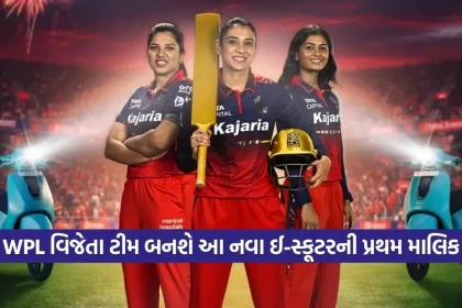 1770510662 dharmishtha 1 15.jpg.webp