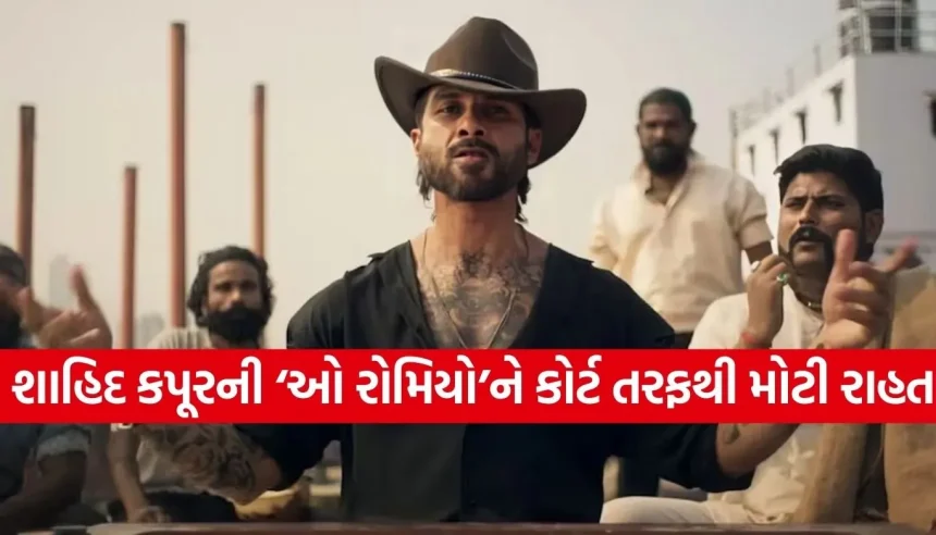 ‘ઓ રોમિયો’ની રિલીઝ પર નહીં લાગે બ્રેક! બોમ્બે સિવિલ કોર્ટે ફગાવ્યો સ્ટેનો આદેશ 1 1770566379 Copy of Satya web temp 6.jpg.webp