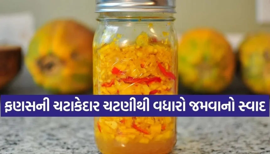 ફણસનું શાક તો ઘણું ખાધું, પણ શું ક્યારેય તેની ચટણી ટ્રાય કરી છે? નોંધી લો આ સિક્રેટ રેસીપી 1 1770595548 Copy of Satya web temp 15.jpg.webp