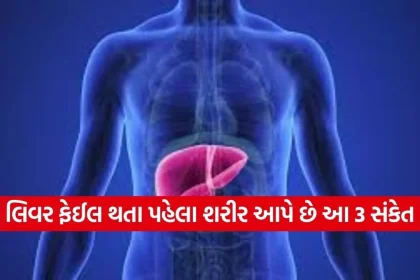 1770624710 dharmishtha 1 7.jpg.webp