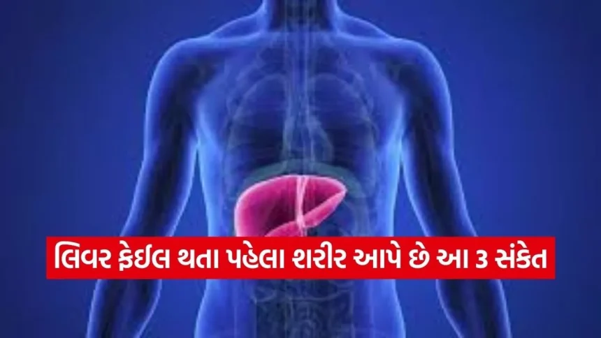 દારૂ પીનારાઓ માટે લાલબત્તી: આ 3 ફેરફારોને નજરઅંદાજ ન કરો, નહીં તો લિવર થઈ શકે છે ફેઈલ 1 1770624710 dharmishtha 1 7.jpg.webp