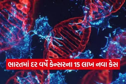 1770653566 dharmishtha 1 17.jpg.webp