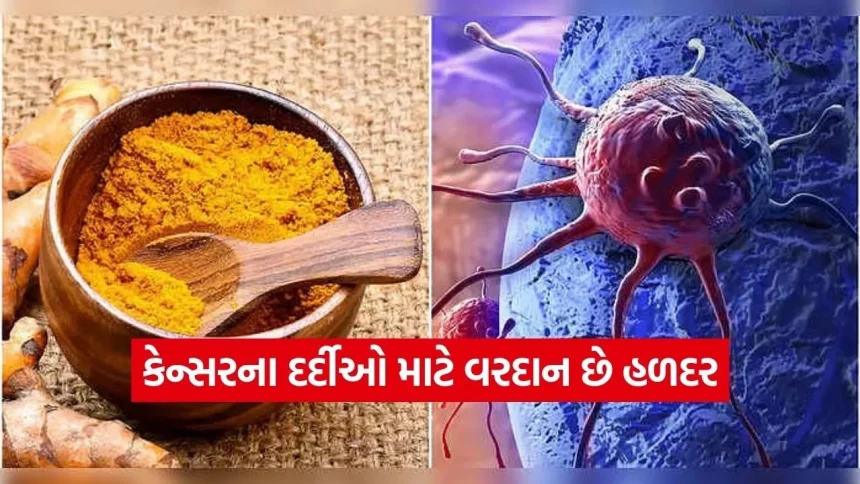 કેન્સર સામે લડવામાં હળદર કેટલી અસરકારક? જાણો ઉપયોગ કરવાની સાચી રીત જેથી મળે પૂરો ફાયદો 1 1770682426 dharmishtha 1 4.jpg.webp