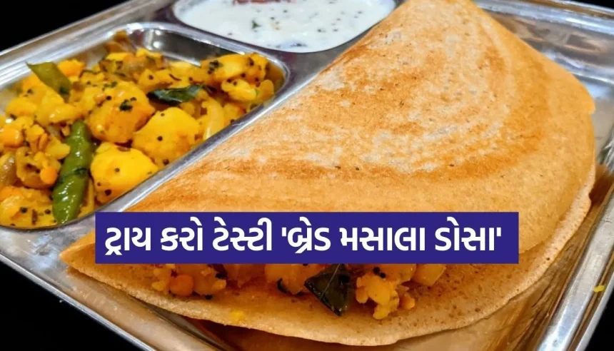 બ્રેકફાસ્ટમાં કંઈક નવું ટ્રાય કરવું છે? માત્ર 10 મિનિટમાં ઘરે બનાવો ક્રિસ્પી ‘બ્રેડ મસાલા ઢોસા’ 1 1770959767 Copy of Satya web temp 12.jpg.webp