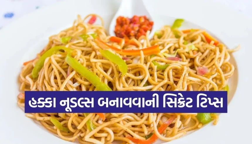 રેસ્ટોરન્ટ જવાની જરૂર નથી! ઘરે જ બનાવો એકદમ છૂટા અને ટેસ્ટી હક્કા નૂડલ્સ 1 1771177291 Copy of Satya web temp 21.jpg.webp
