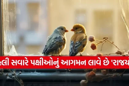 1771203629 Copy of Satya web temp 38.jpg.webp
