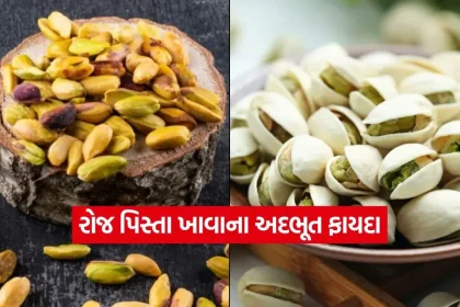 1771408704 dharmishtha 1 12.jpg.webp