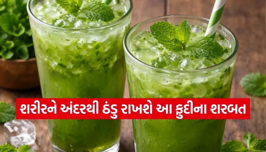ઉનાળાની ગરમીમાં આપશે ઠંડક, ઘરે આ રીતે બનાવો ટેસ્ટી ફુદીના શરબત! 1 1771465889 Copy of Satya web temp 33.jpg.webp