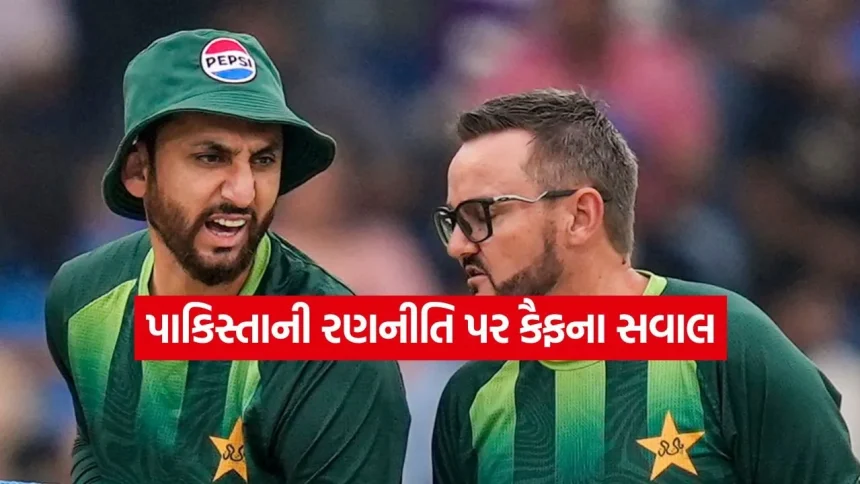પાકિસ્તાનની હાર માટે માઇક હેસન જવાબદાર? મોહમ્મદ કૈફે ઉઠાવ્યા ગંભીર સવાલો 1 1771652634 dharmishtha 1 43.jpg.webp