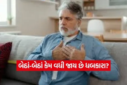 1771726181 dharmishtha 1 66.jpg.webp