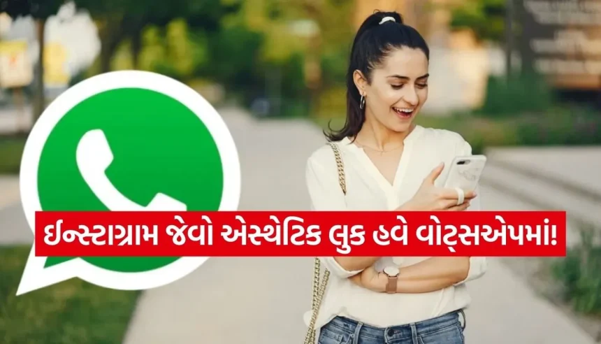 હવે WhatsApp હશે તમારી પસંદનું! 19 નવા રંગો અને 14 આઈકન સ્ટાઈલ સાથે બદલાઈ જશે આખો લુક 1 1771825829 Copy of Satya web temp 11.jpg.webp