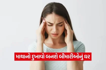 1771928204 dharmishtha 1 12.jpg.webp