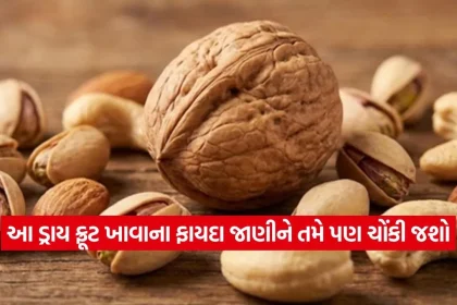 1771957053 dharmishtha 1 33.jpg.webp