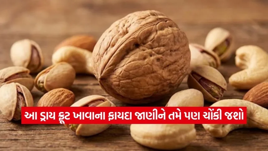 લાંબુ આયુષ્ય જોઈએ છે? રોજ ખાઓ આ એક ડ્રાય ફ્રૂટ, શરીર બનશે મજબૂત 1 1771957053 dharmishtha 1 33.jpg.webp