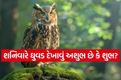 Copy of Satya web temp 10.jpg.webp
