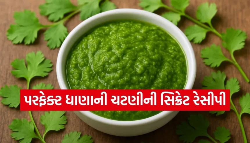ધાણાની ચટણી કડવી થઈ જાય છે? અપનાવો આ 5 સિક્રેટ ટિપ્સ, મળશે પારંપરિક અસલી સ્વાદ! 1 Copy of Satya web temp 18.jpg.webp