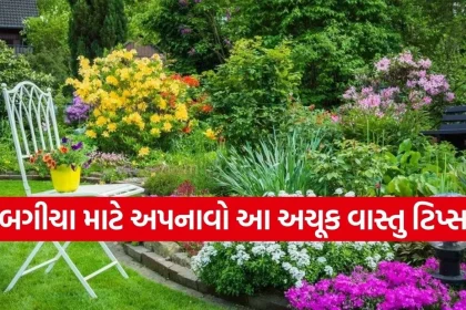 Copy of Satya web temp 2026 02 12T145525.033.jpg.webp