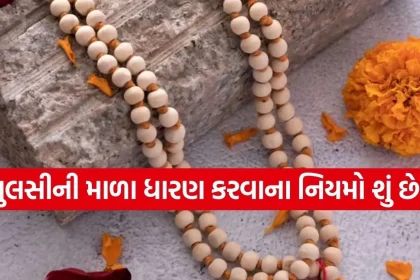 Copy of Satya web temp 30.jpg.webp