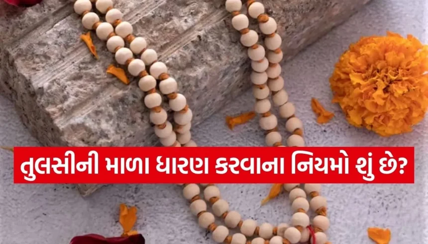 તુલસીની માળા ધારણ કરતા પહેલા જાણો આ 5 કડક નિયમો, નહીં તો પુણ્યને બદલે લાગશે પાપ! 1 Copy of Satya web temp 30.jpg.webp