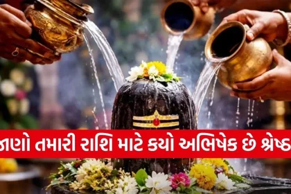 Copy of Satya web temp 43.jpg.webp