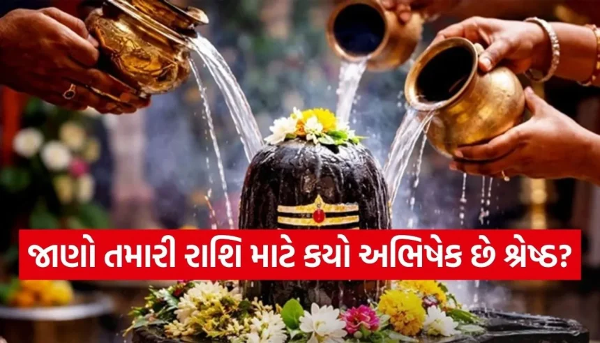Copy of Satya web temp 43.jpg.webp
