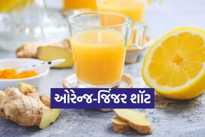 Dharmishtha 2026 02 07T153137.459.jpg.webp