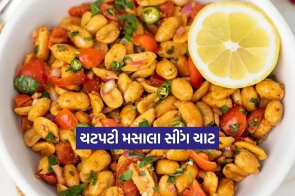 Dharmishtha 2026 02 13T165346.914.jpg.webp