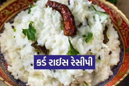Dharmishtha 20260203 210954 0000.jpg.webp