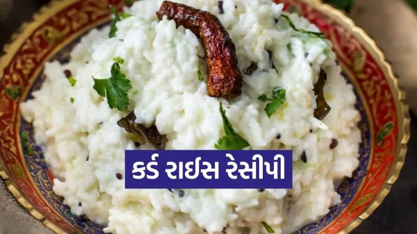 ક્રીમી કર્ડ રાઈસ: ઉનાળામાં પેટને ઠંડક આપતી દક્ષિણ ભારતની સ્પેશિયલ રેસીપી 1 Dharmishtha 20260203 210954 0000.jpg.webp