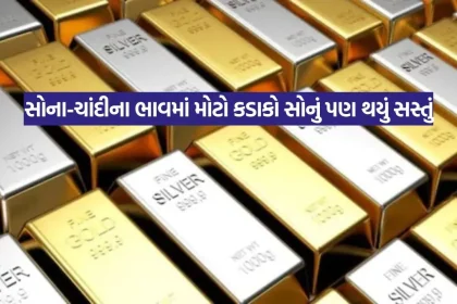 Gujarati News 11.jpg.webp