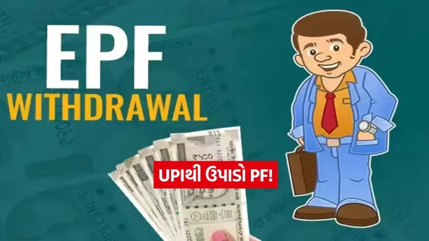 ફ્રોડ પર લગામ અને ઝડપી નિકાલ: EPFOની નવી એપમાં મળશે મલ્ટી-લેયર સિક્યોરિટી અને બાયોમેટ્રિક લોગિન 1 INDIA 1 58.jpg.webp