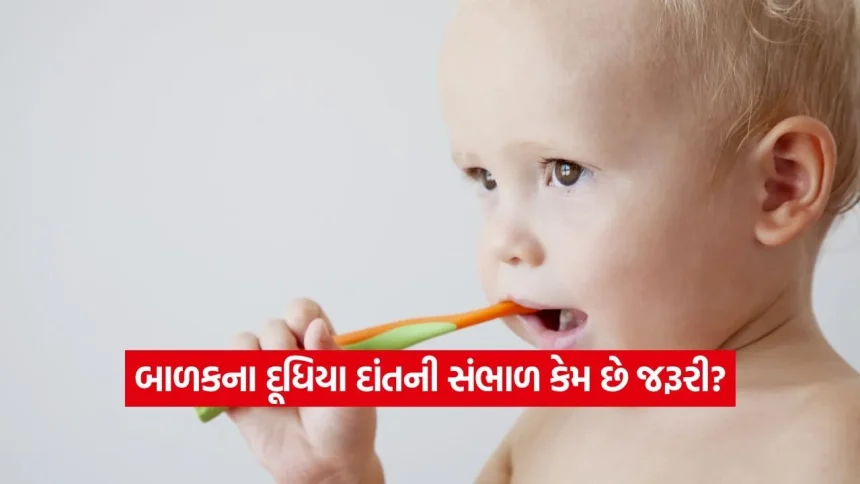 બેબી ડેન્ટલ કેર: ક્યારે શરૂ કરવું જોઈએ બાળકનું પહેલું બ્રશ? 1 INDIA 1 78.jpg.webp
