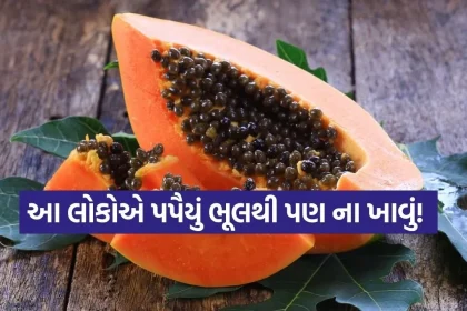 Papaya 2302 1.jpg.webp