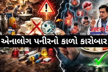 analogue paneer vs real paneer side effects legal action.jpg.webp