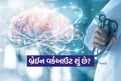 brain 1702.jpg.webp
