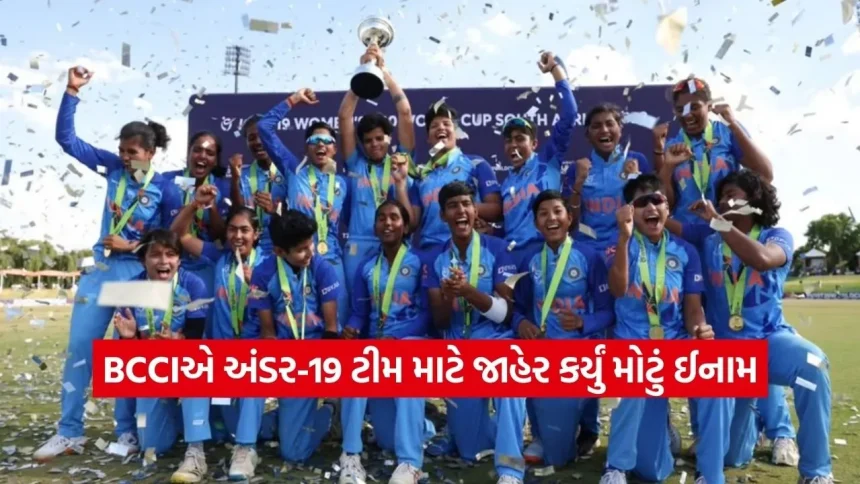 યુવા ભારતનો વિજય અને BCCIની ભેટ: વર્લ્ડ કપ જીતનારા ખેલાડીઓ પર થશે ધનવર્ષા 1 dharmishtha 1 11.jpg.webp