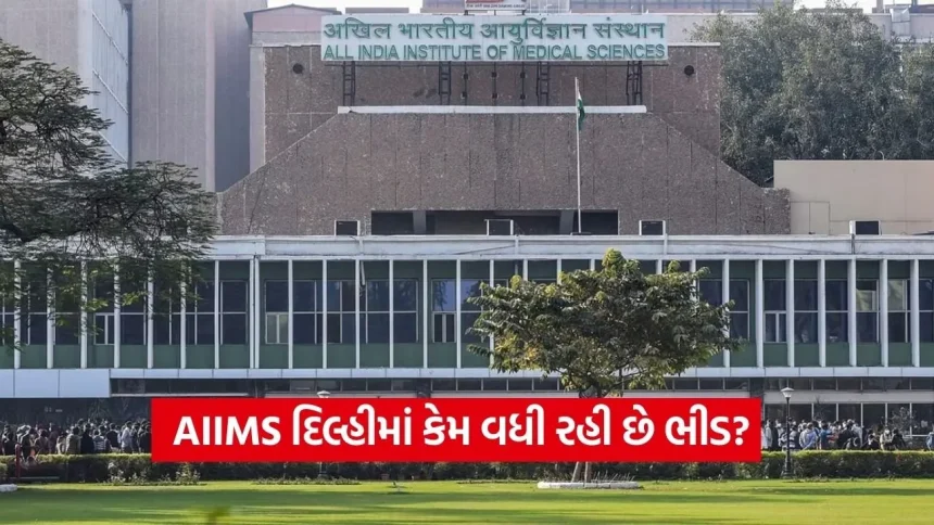 માત્ર સારવાર જ નહીં, વિશ્વાસ પણ! AIIMS દિલ્હીમાં દર્દીઓની સંખ્યા વધવા પાછળના આ છે મુખ્ય 5 કારણો 1 dharmishtha 1 20.jpg.webp