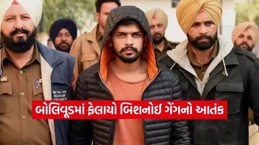 બોલિવૂડમાં લોરેન્સ બિશનોઈનો ખોફ: શું આ ગેંગ નવી ‘D-Company’ બનવાના માર્ગે છે? 1 dharmishtha 1 27.jpg.webp